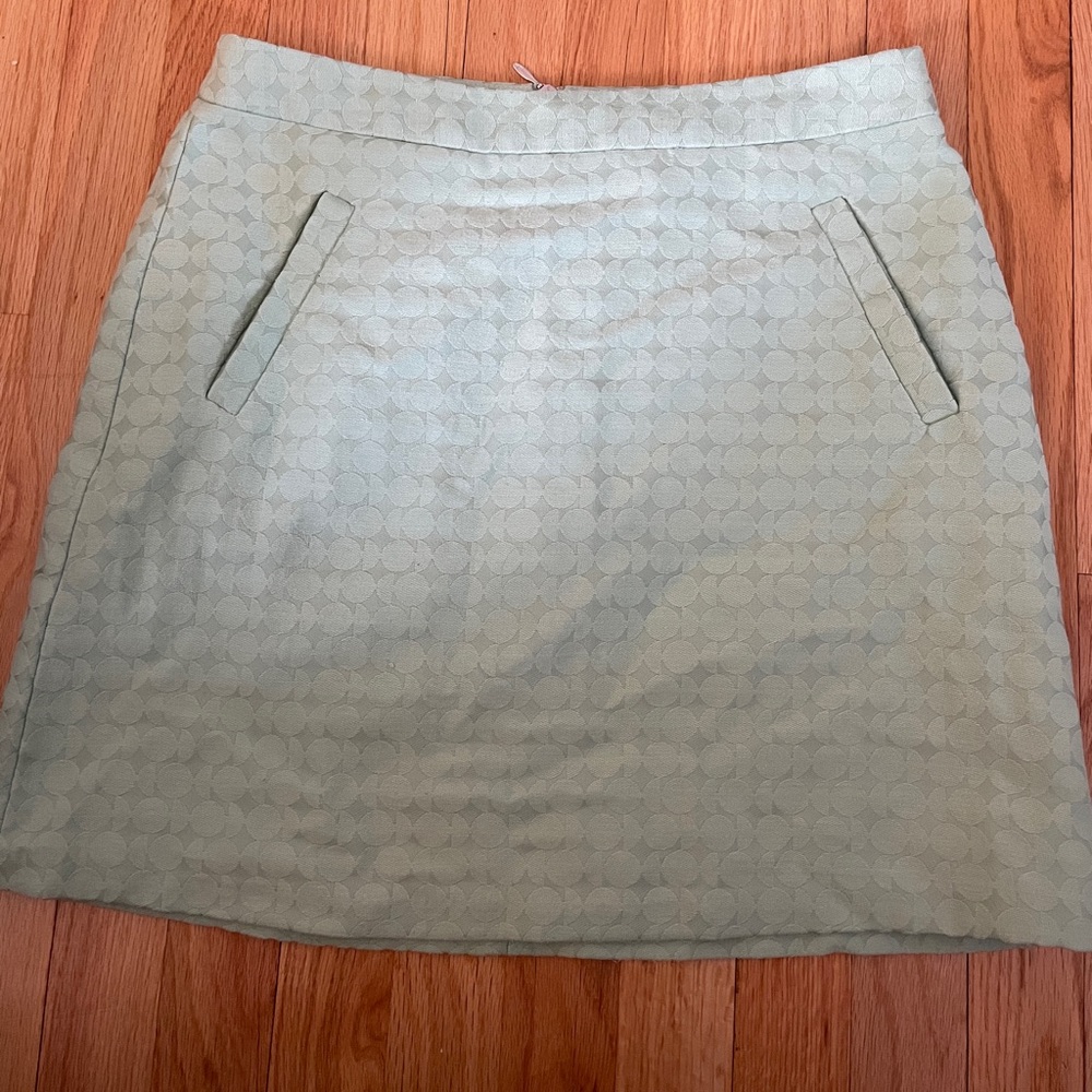Mint Skirt with pockets and zipper back